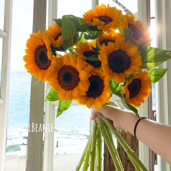 Pure Sunflower Bouquet