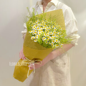 [Dark] Pure Daisy Bouquet