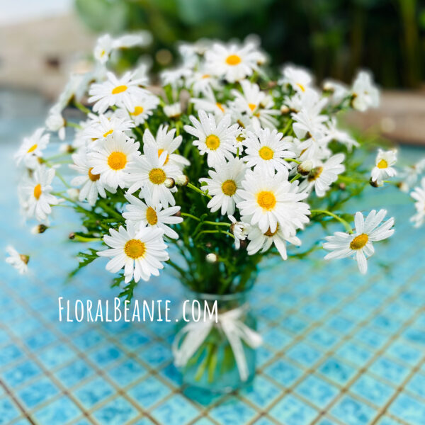 Elegant Daisy Bouquet