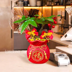 Fu Dai Fa Cai Shu （福袋发财树）