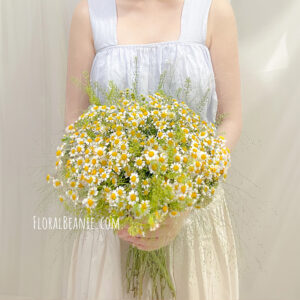 Boon Keng Florist Pure Daisy Bouquet