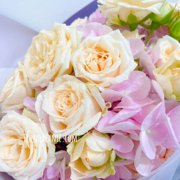 Valentine's Day Pink Hydrangea with Champagne Rose Bouquet