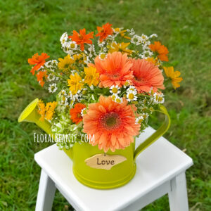 Flower Delivery Singapore 83 Daisy in the Enchanted Watering Pot