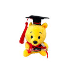 Winnie the Pooh Graduation Bear +$19.00