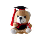 Classic Graduation Bear +$19.00