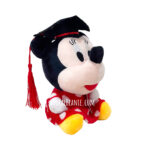 Minnie Mouse Graduation Bear +$19.00