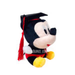 Micky Mouse Graduation Bear +$19.00