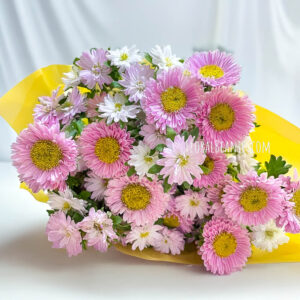 Flower Delivery Singapore 12 Aster Bouquet