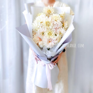 Flower Delivery Singapore 15 Soft Dahlia Bouquet