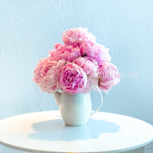 Flower Delivery Singapore 2 Peony in Teapot