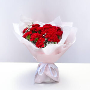 Flower Delivery Singapore 30 Red Carnation Bouquet