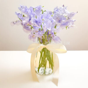 Flower Delivery Singapore 21 Sweet Pea Bouquet in Vase